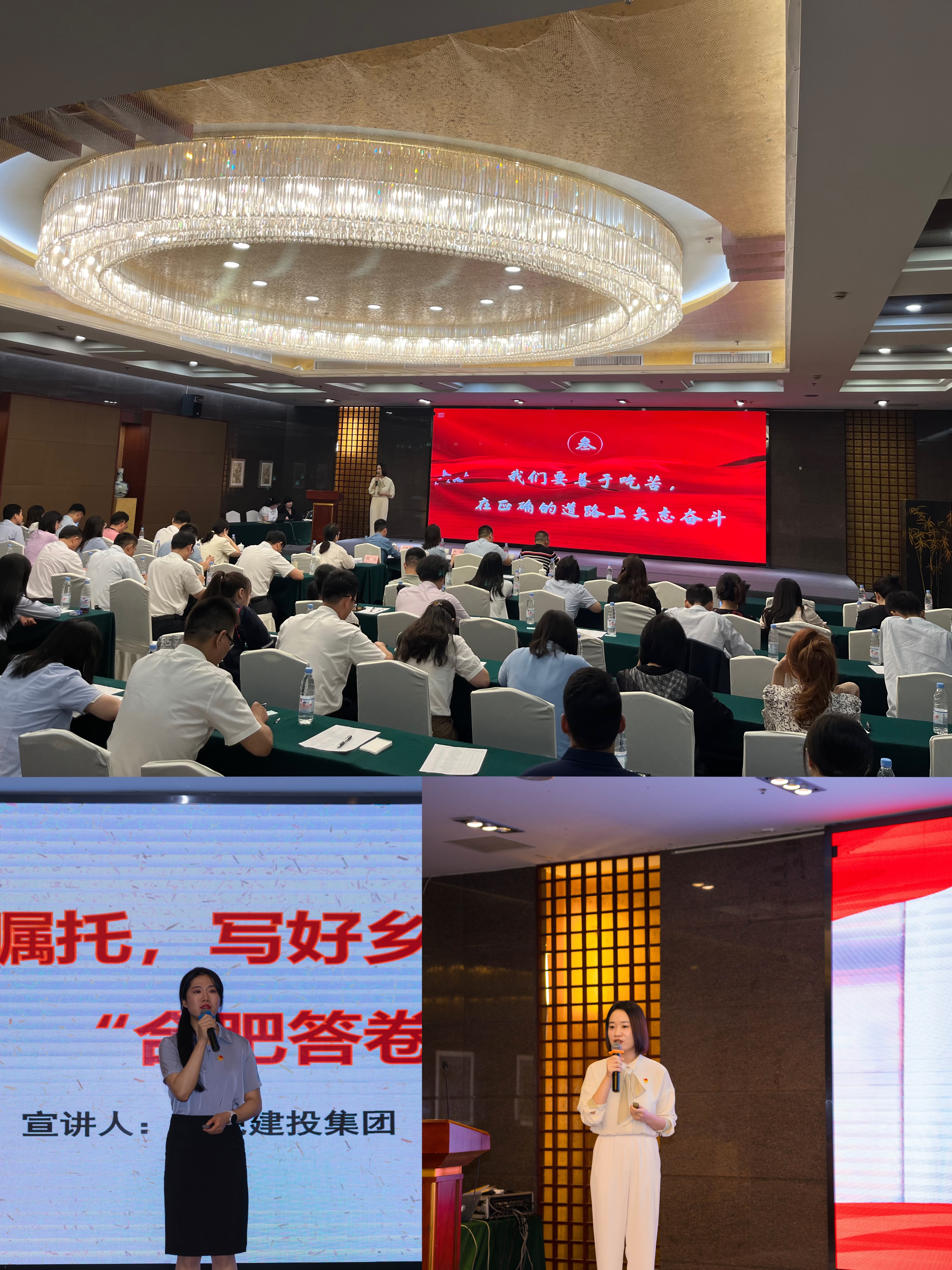 香港全年资料兔费大全