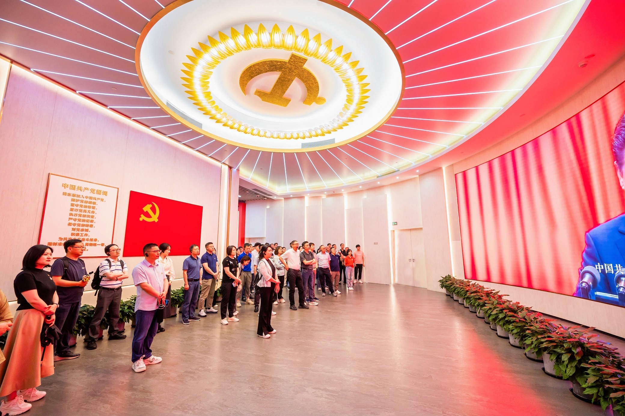 香港全年资料兔费大全